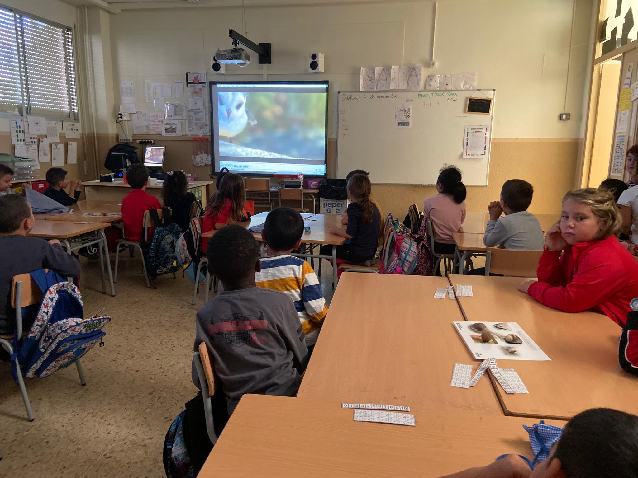 05399236-10f0-43ec-9ad7-edb2aed6d93c