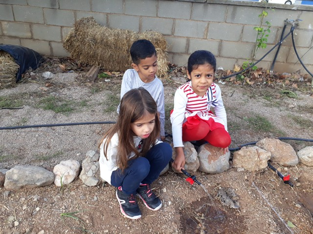 41e125f8-74a6-44f9-8df1-de5e0dda5698