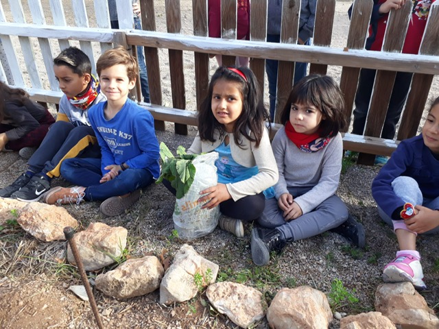 42d6fc43-7d8e-41ad-b406-340c30c015af