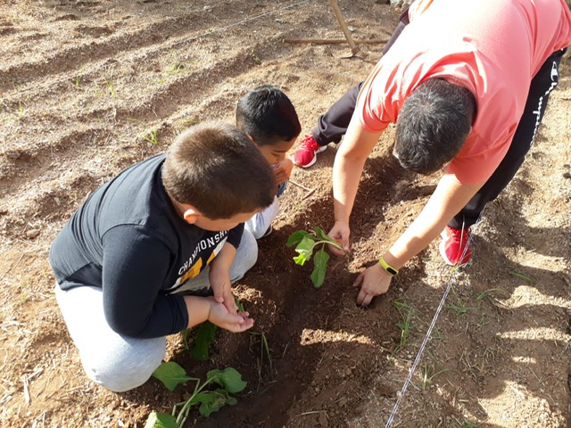 771b891d-c8fb-4bf7-92db-18f20f3be5e4