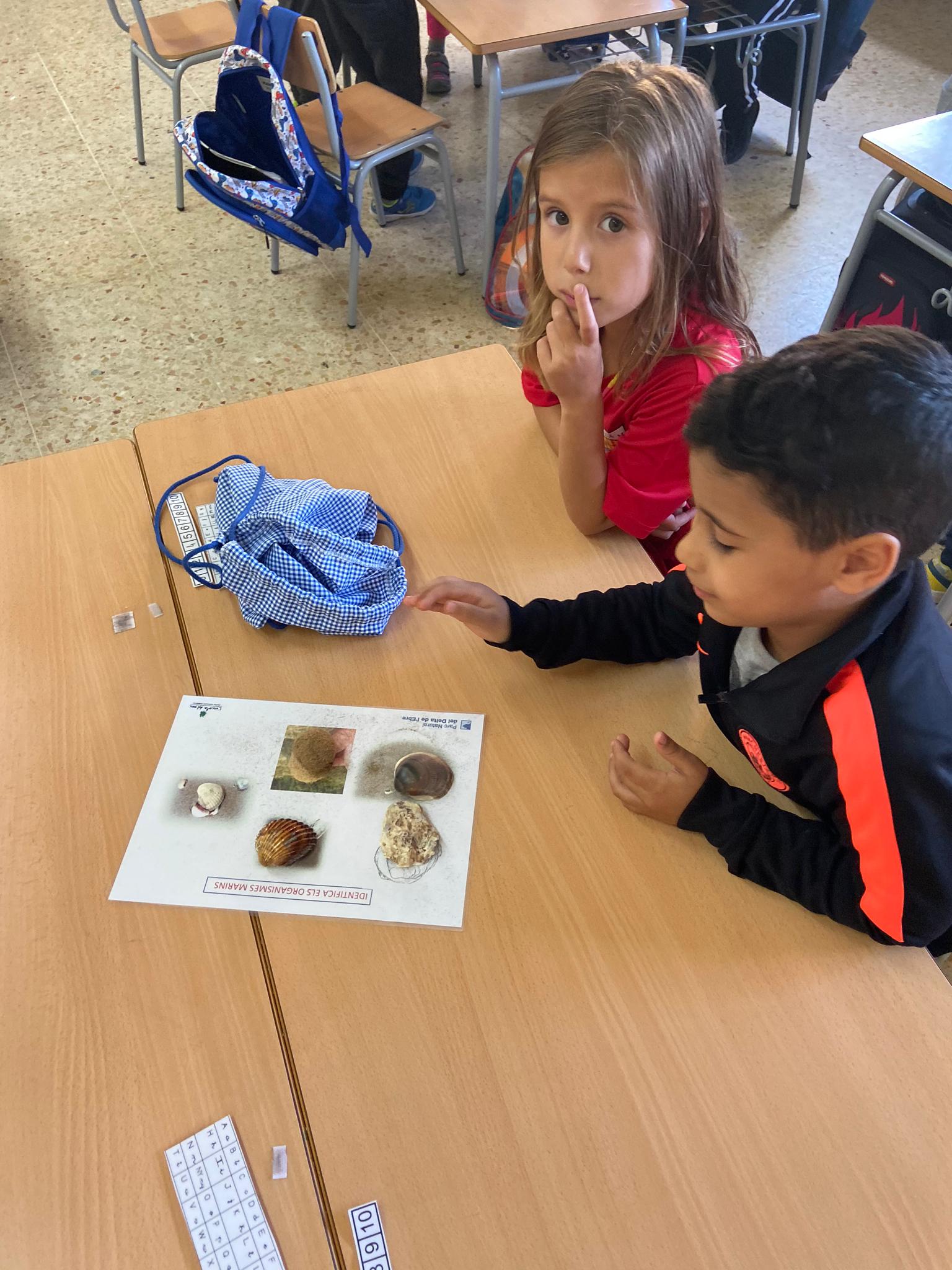 87c7f142-90bb-4c53-a4ec-04eabe86333e