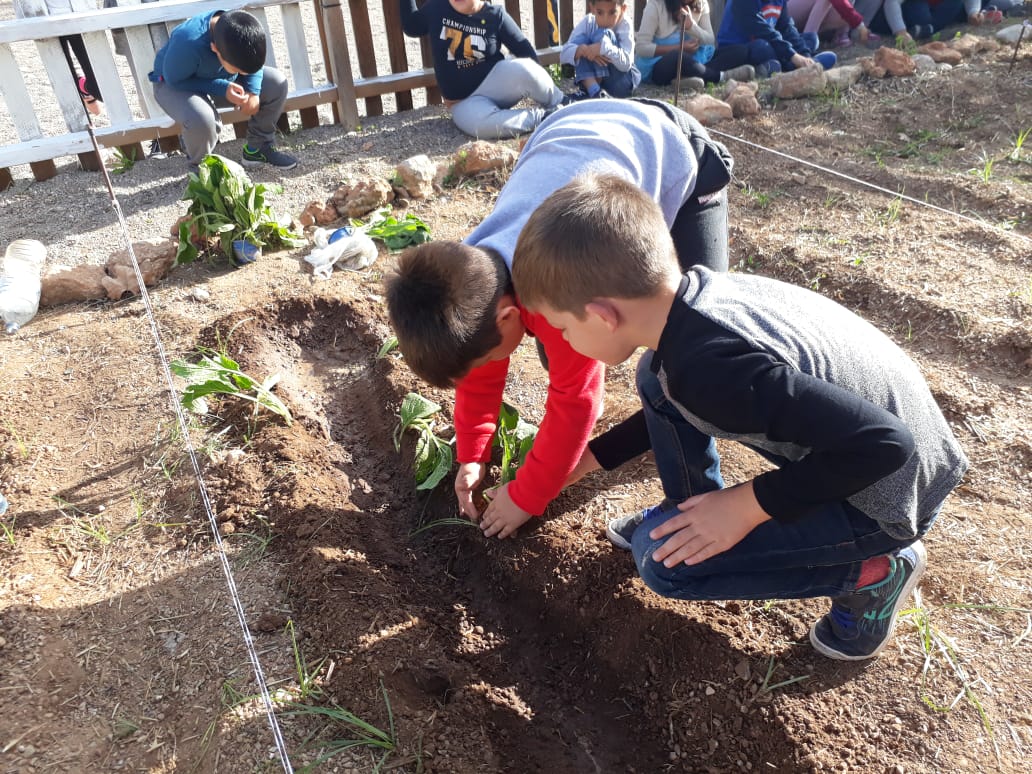 8fc86964-b519-4561-8313-ef1f060d026b