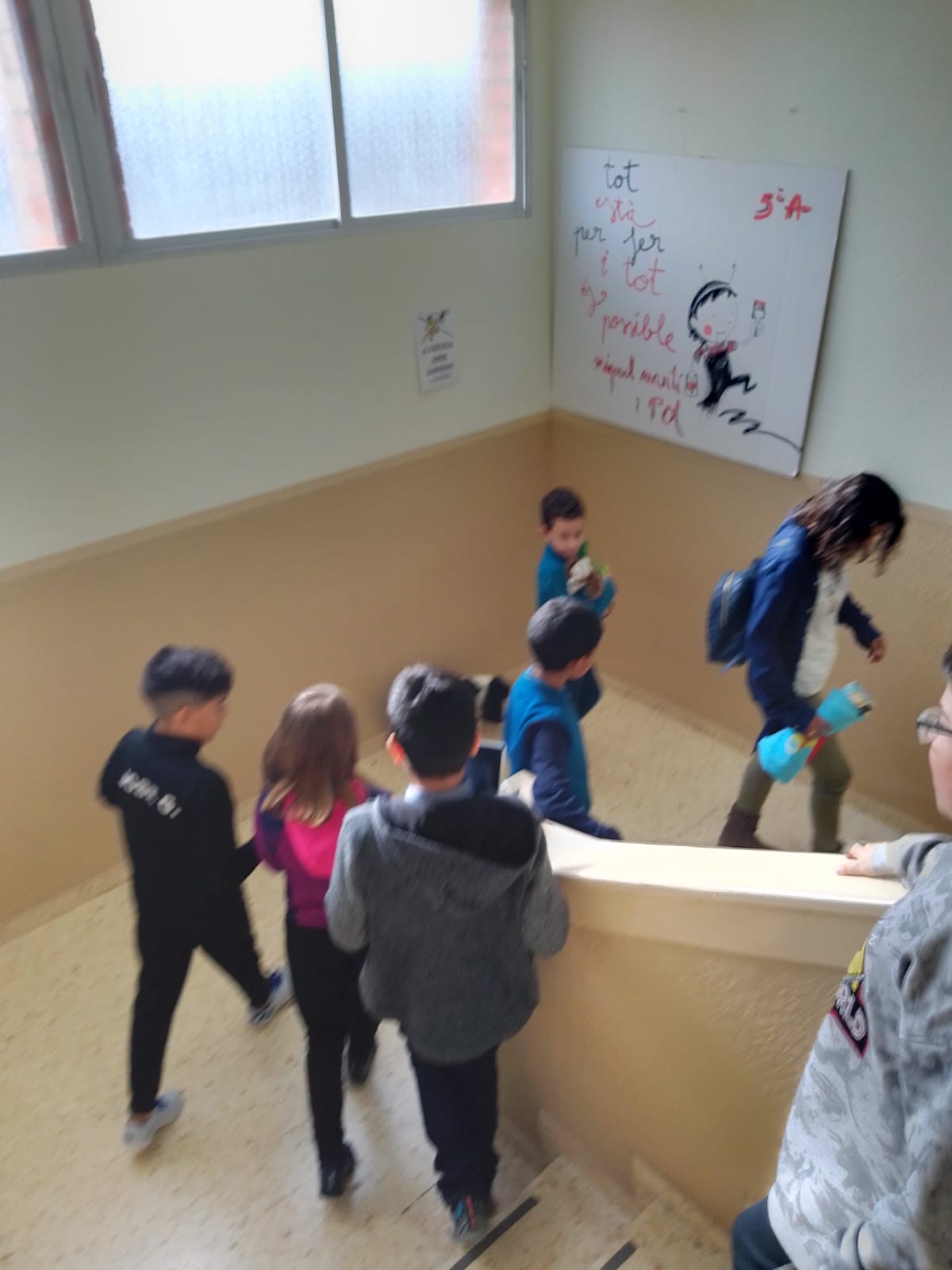 1e74a568-4f13-4e4b-85e1-8159ac2040c6