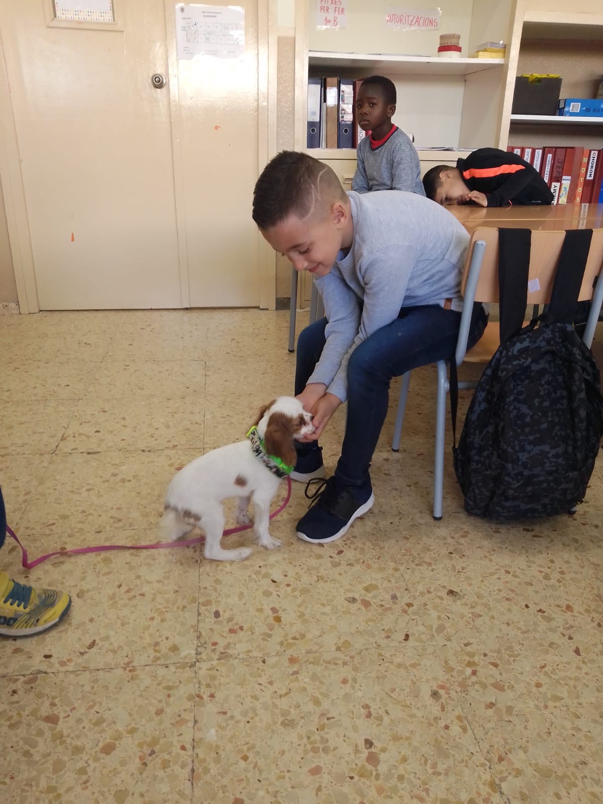 8f0a48e7-e0a4-409f-b3ce-25e2afc718b0