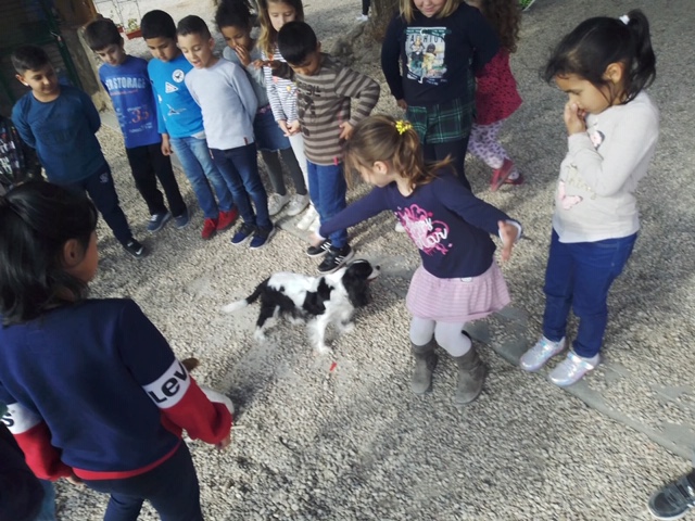 bb7efdbe-6c10-45dc-ba90-d0f024d71fef