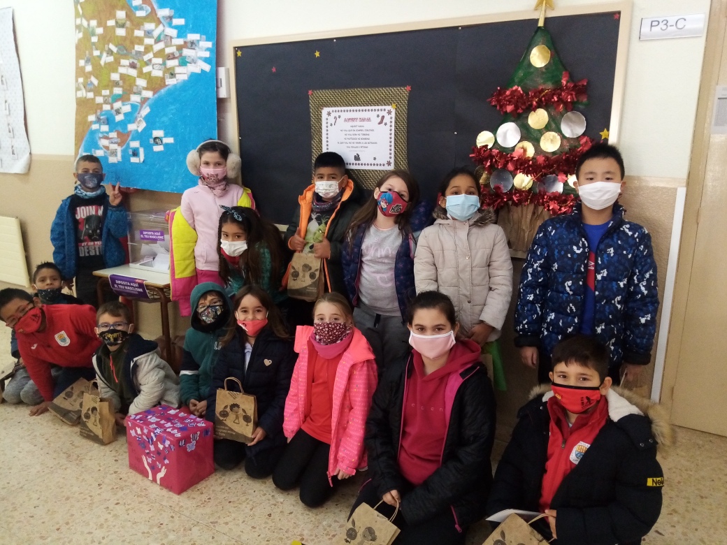 IMG_20201209_115018_resized_20201210_011606675 (1)