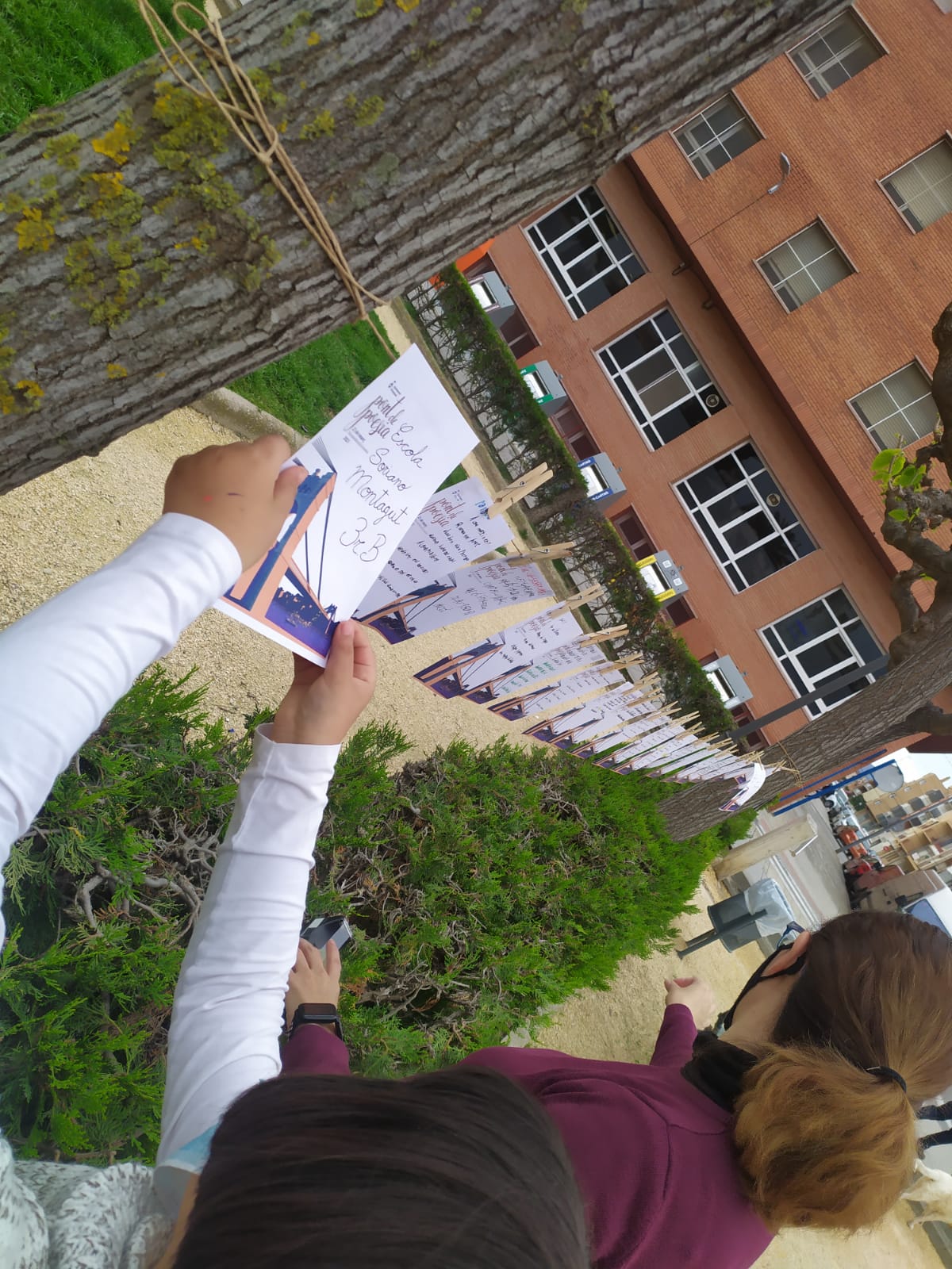 WhatsApp Image 2021-03-19 at 14.35.46