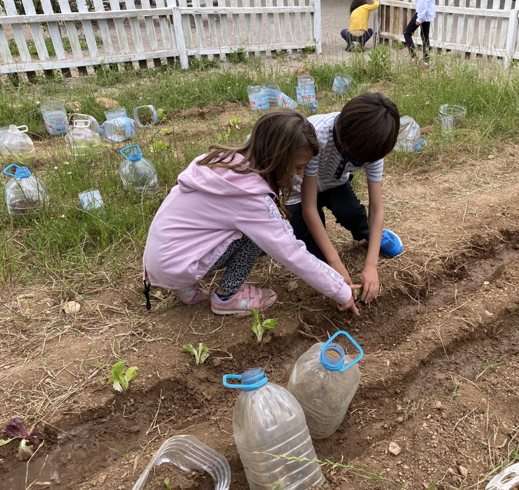 UNADJUSTEDNONRAW_thumb_3fcd