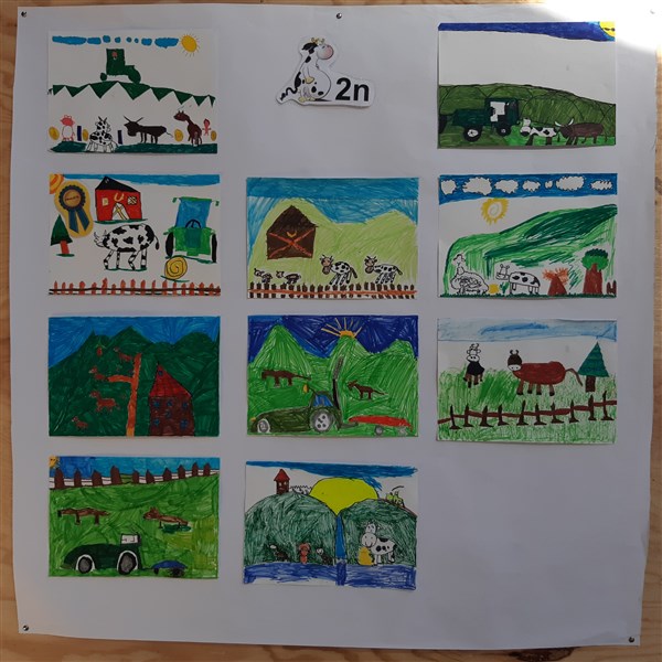 20191016_212513 (600 x 600)