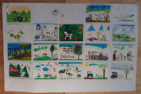 20191016_212624 (600 x 401)