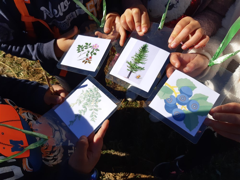 20201016_122823 (1000 x 750)