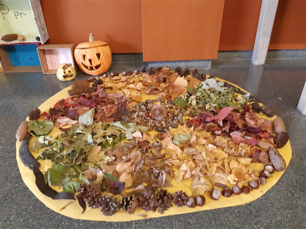 20201026_143514 (1000 x 750)