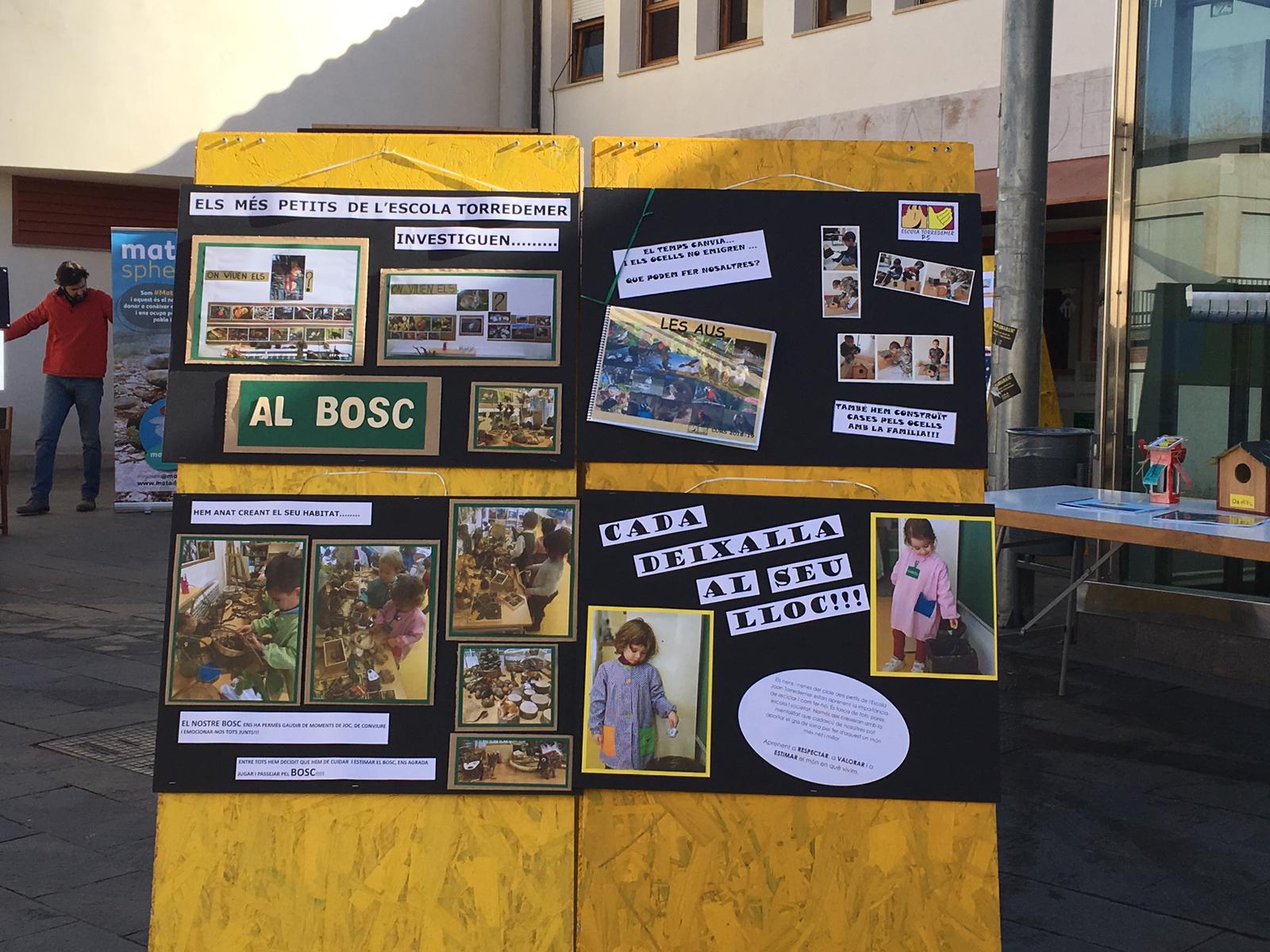 WhatsApp Image 2019-02-13 at 19.12.43