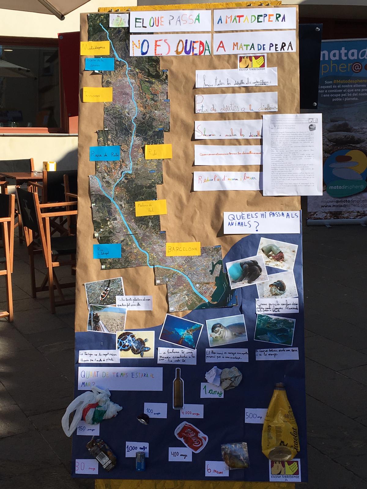 WhatsApp Image 2019-02-13 at 19.12.44 (1)