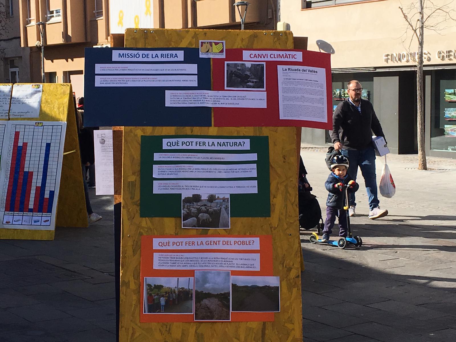 WhatsApp Image 2019-02-13 at 19.12.44 (2)