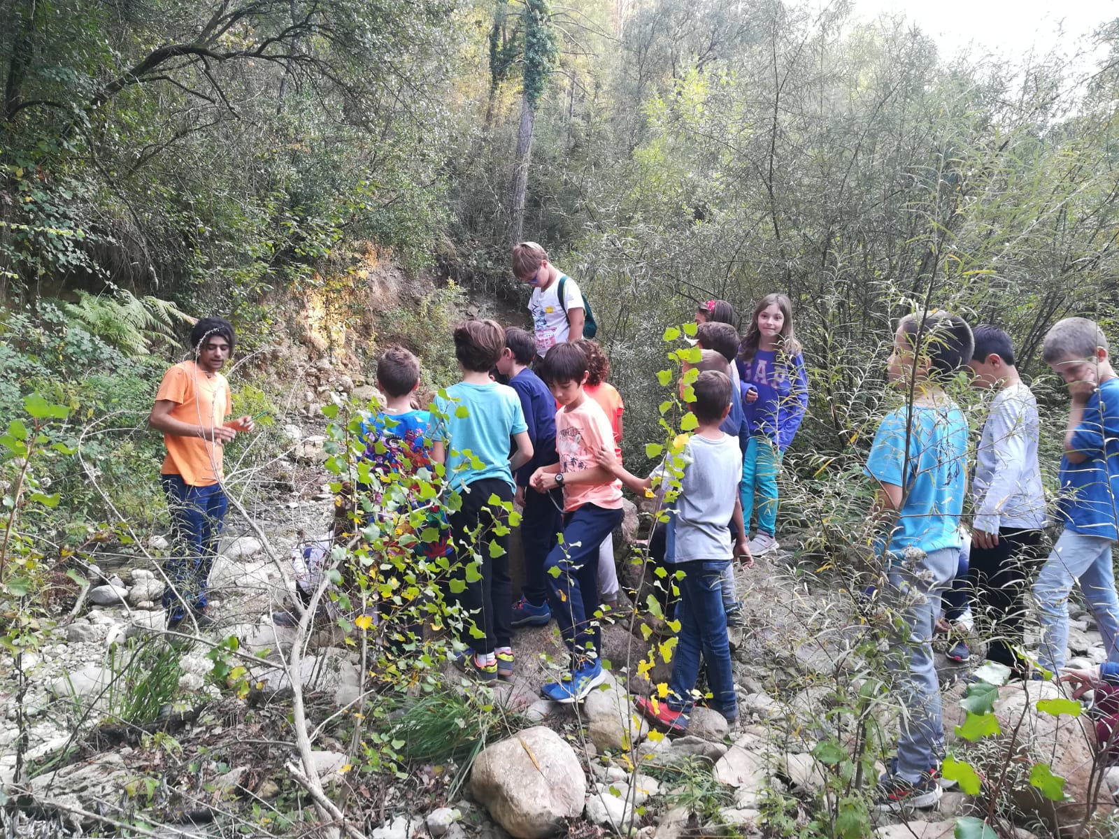 WhatsApp Image 2019-10-29 at 19.46.06