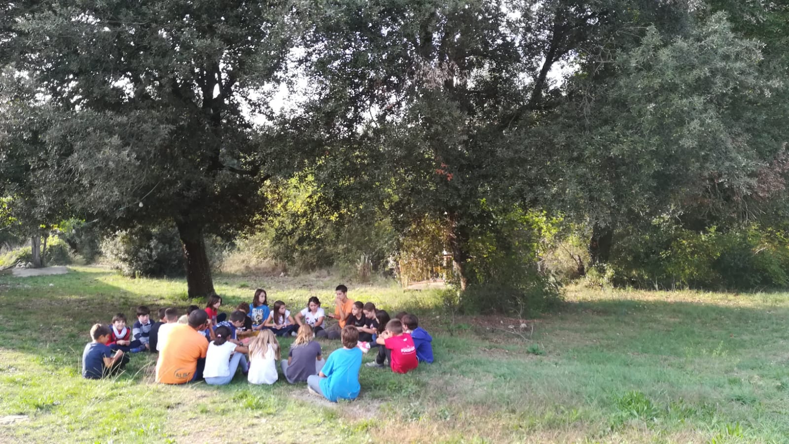 WhatsApp Image 2019-10-29 at 19.47.09