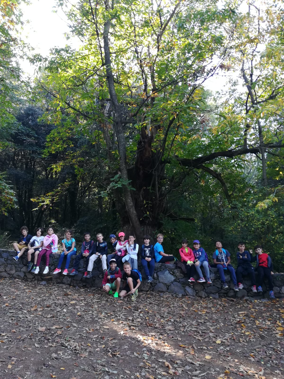 WhatsApp Image 2019-10-30 at 21.37.22