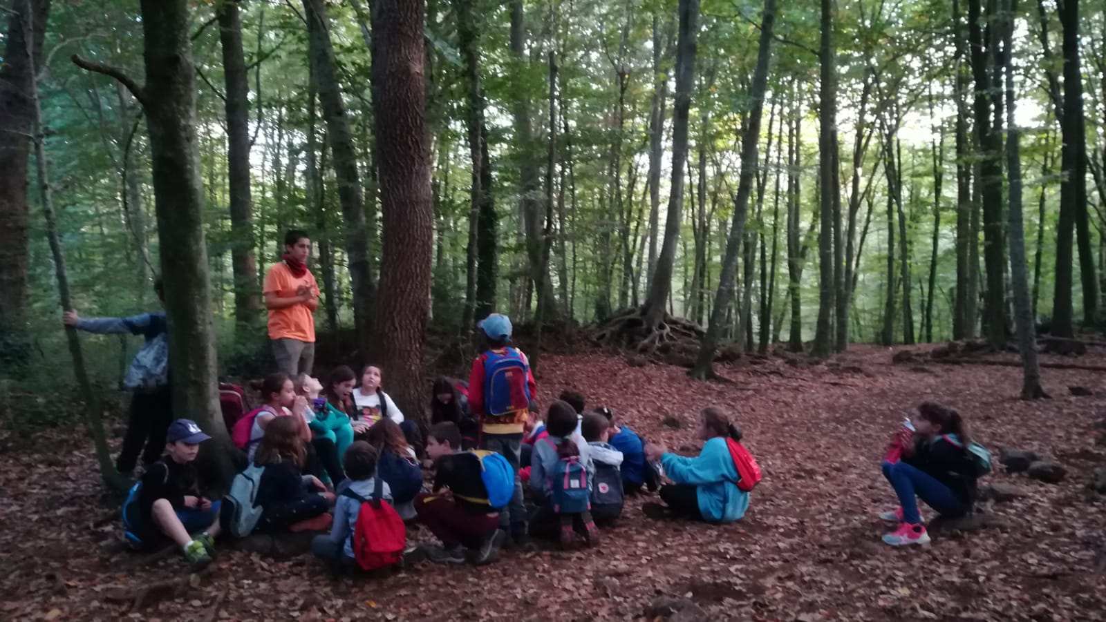 WhatsApp Image 2019-10-30 at 21.43.12 (3)