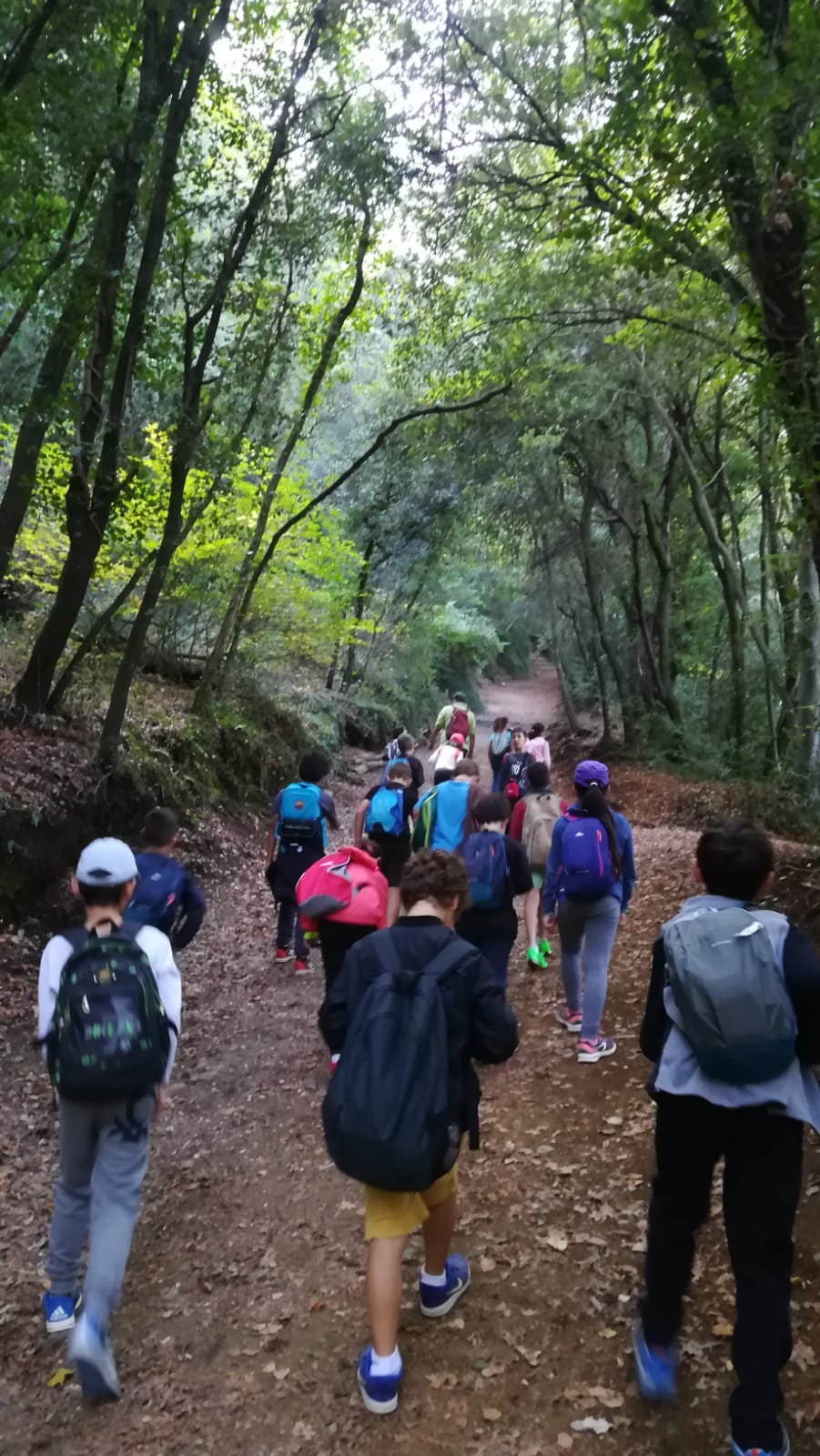 WhatsApp Image 2019-10-30 at 21.43.13 (1)