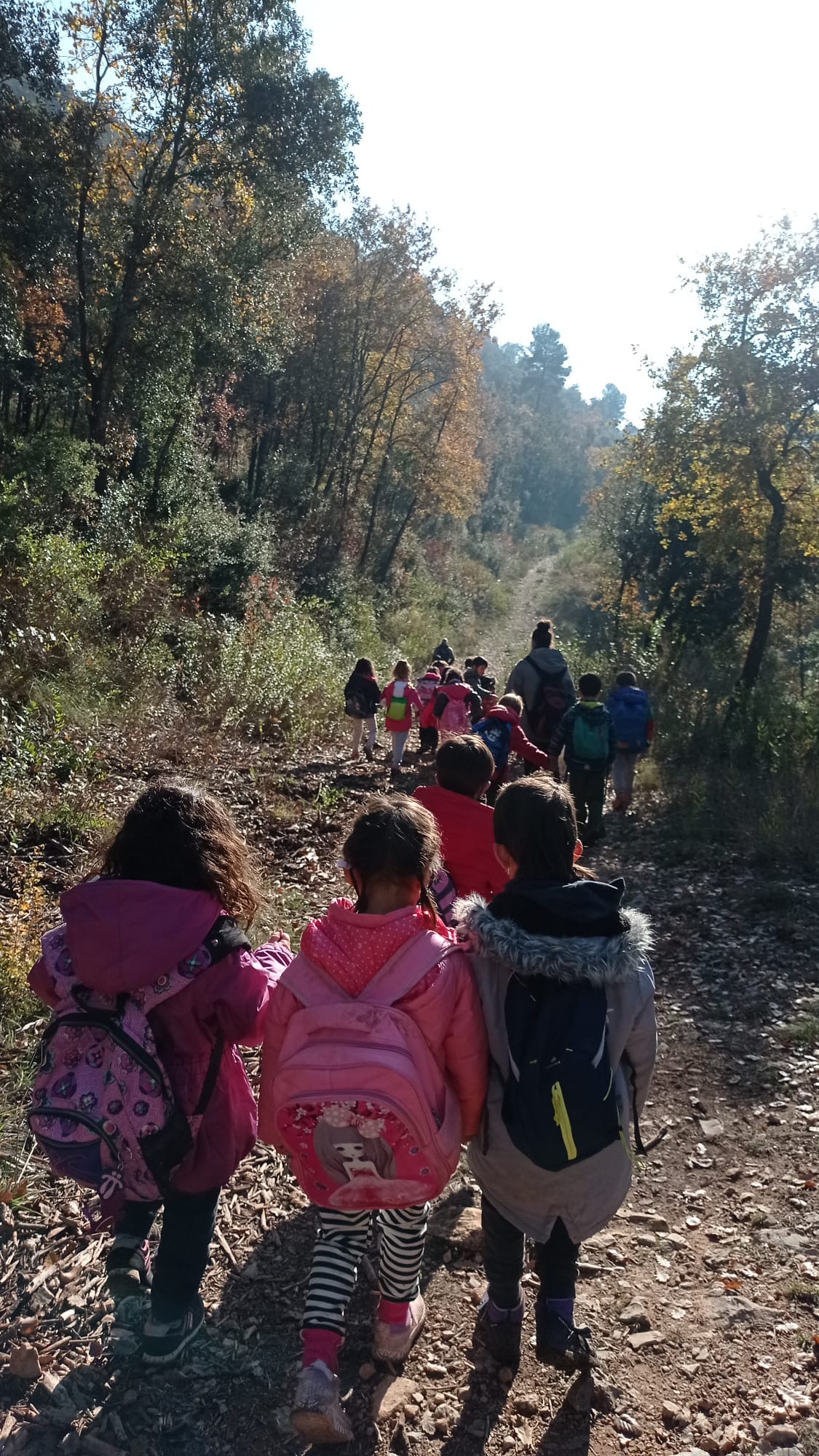 1605770b-9ef6-43c2-aeea-5c22c9529772