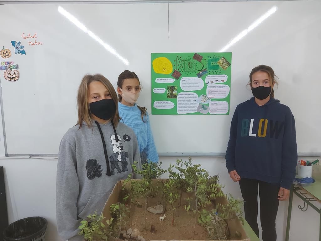 20211103_153711 (Copy)