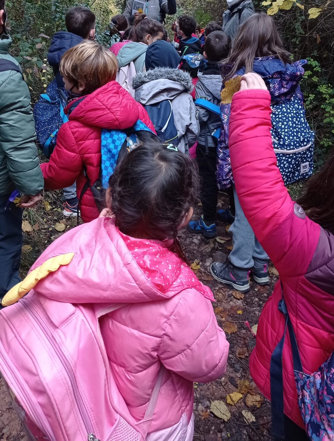 38214c33-f309-49b7-b08f-a779cc4839d2