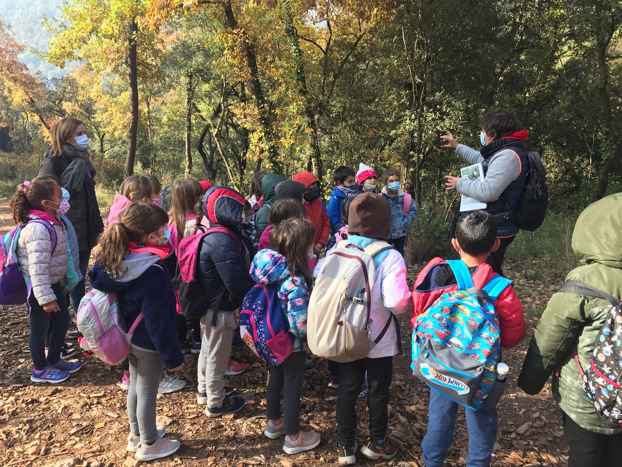 7cf66763-b41f-4381-803b-0ccfd4431a5e