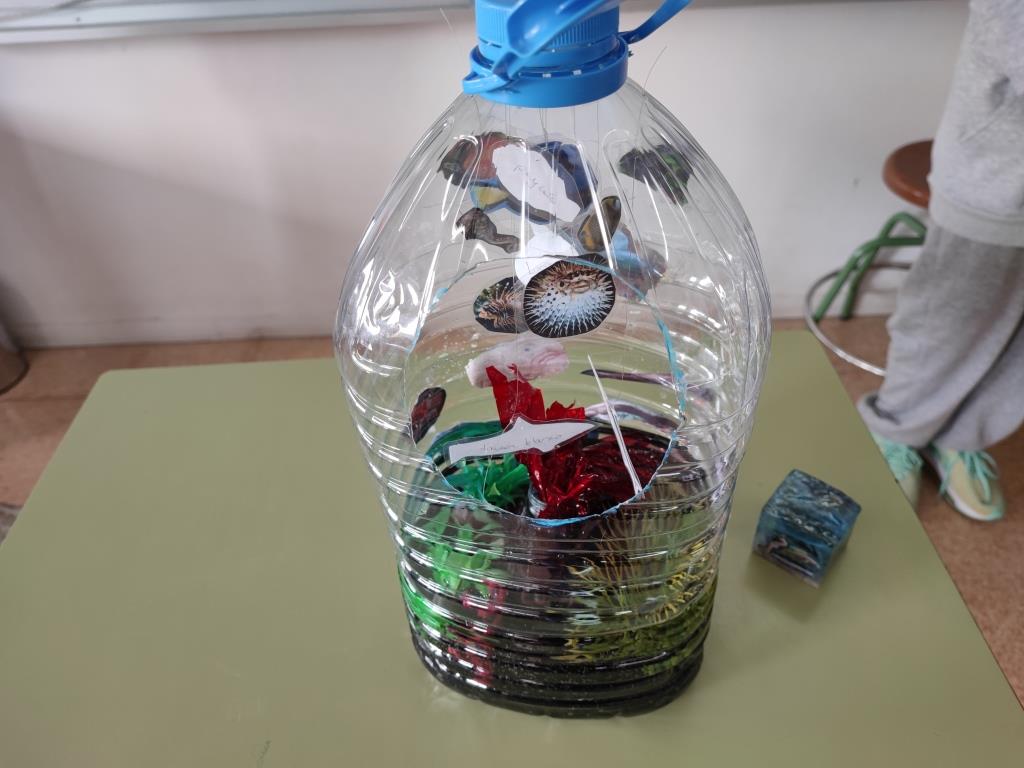 IMG_20211025_153551[1]