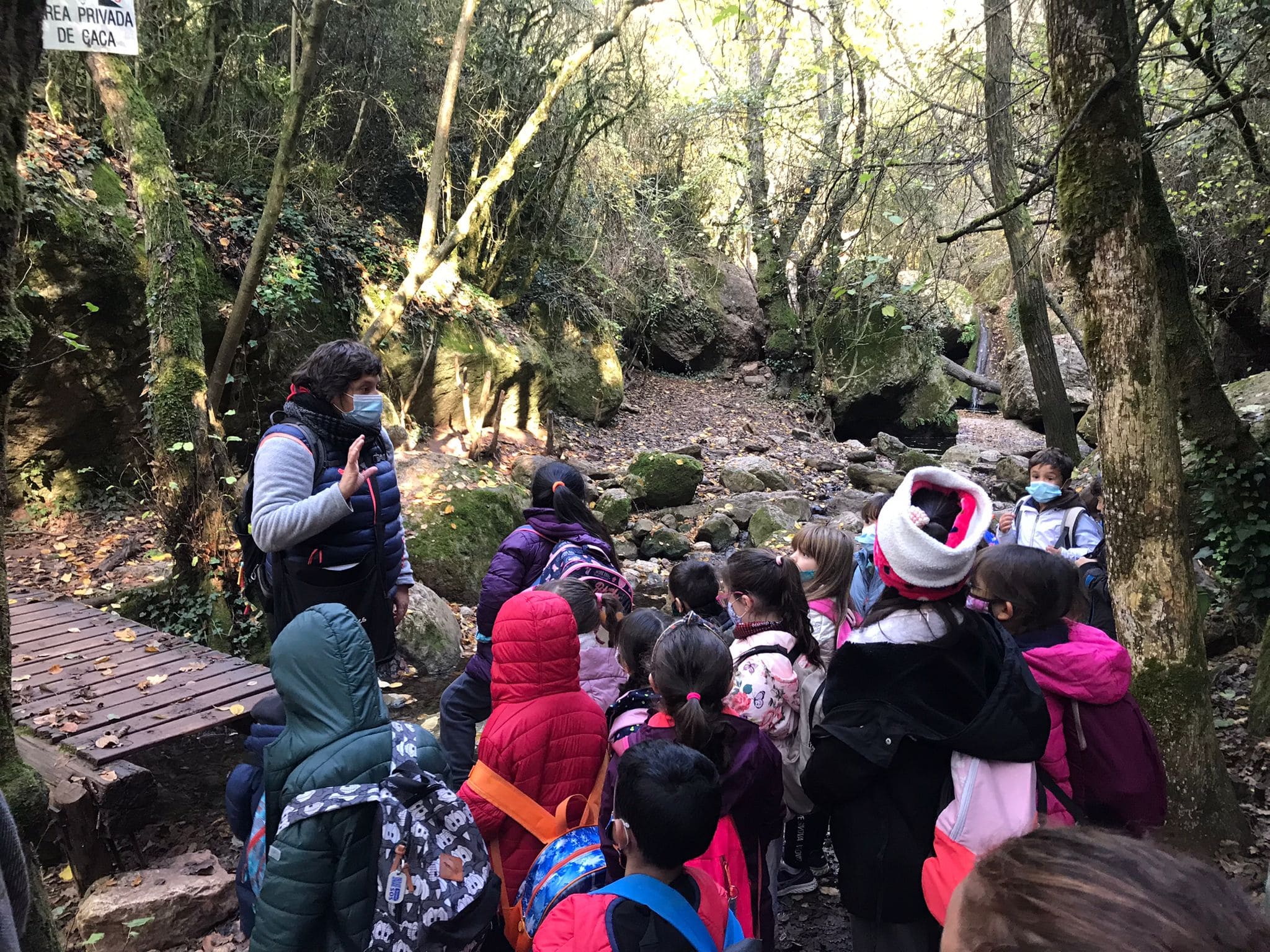 f8305230-8574-409c-bae3-6a41ae0dd8ba