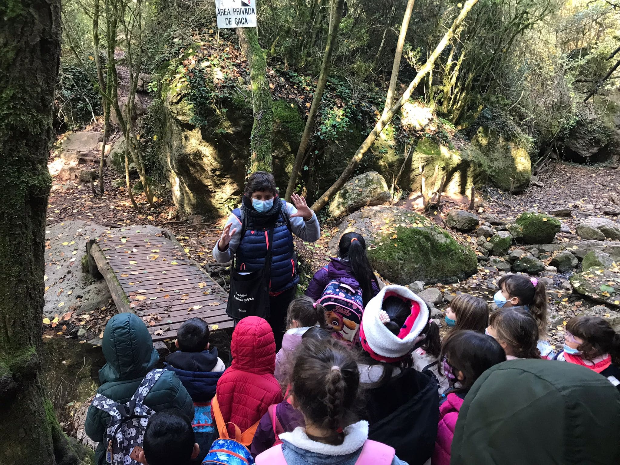 feb2a3a9-49c8-4a12-a8c2-4d641b7dbd62