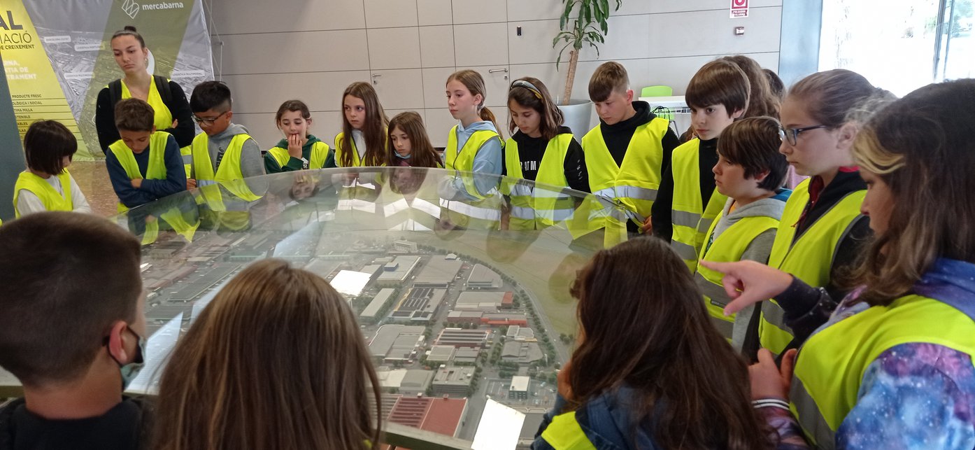 1651389154616_resized