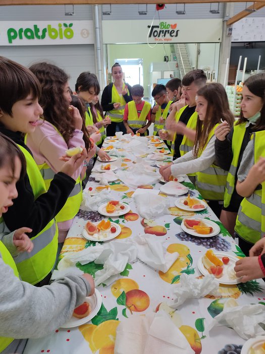 1651389261526_resized