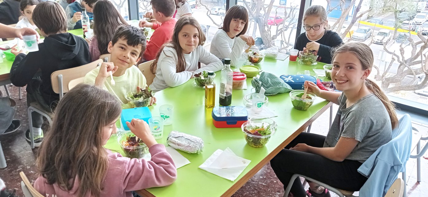 1651389261588_resized