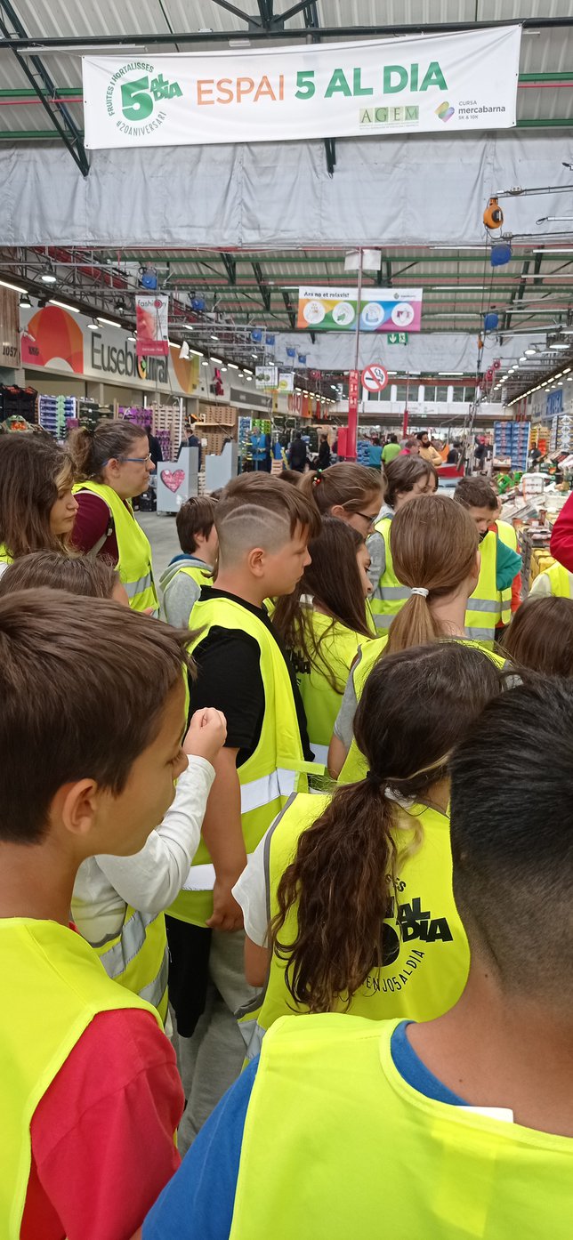 1651389261708_resized2