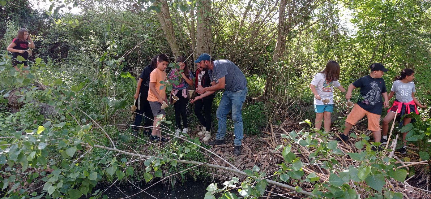 1651754703967_resized