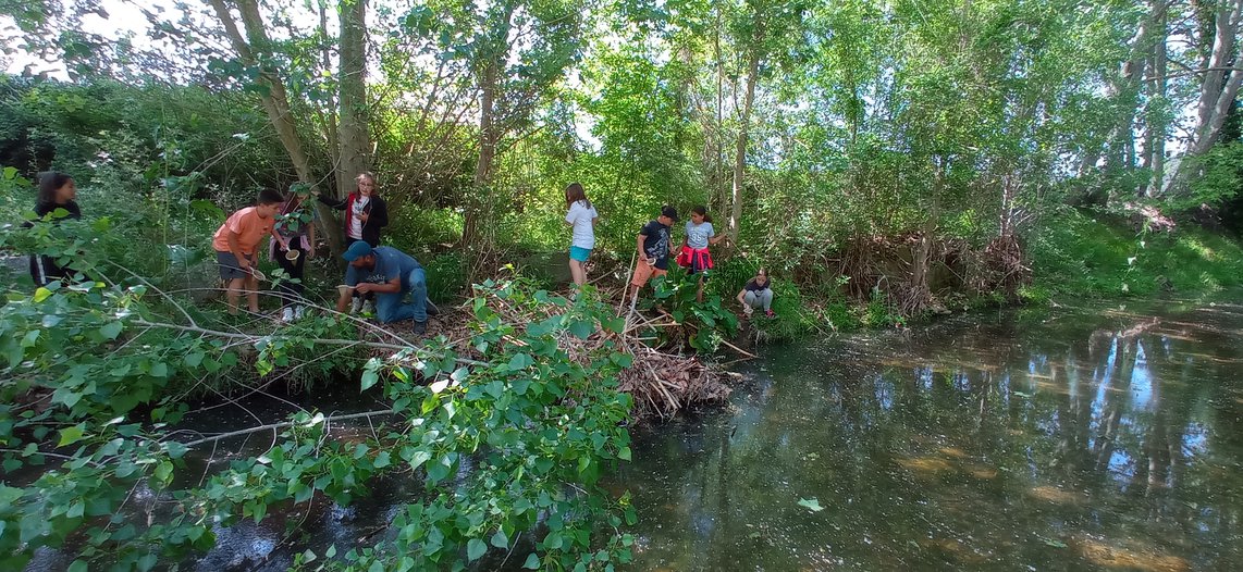 1651754703977_resized