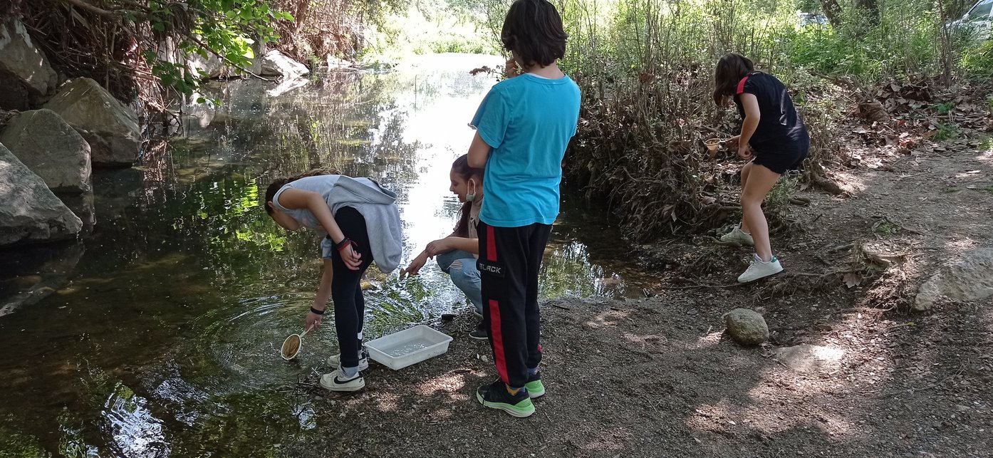 1651754704036_resized