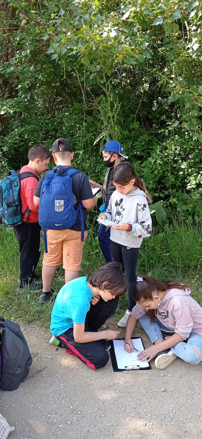 1651754704178_resized