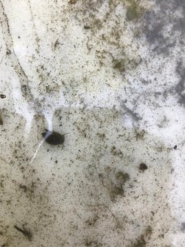 1651754775080_resized