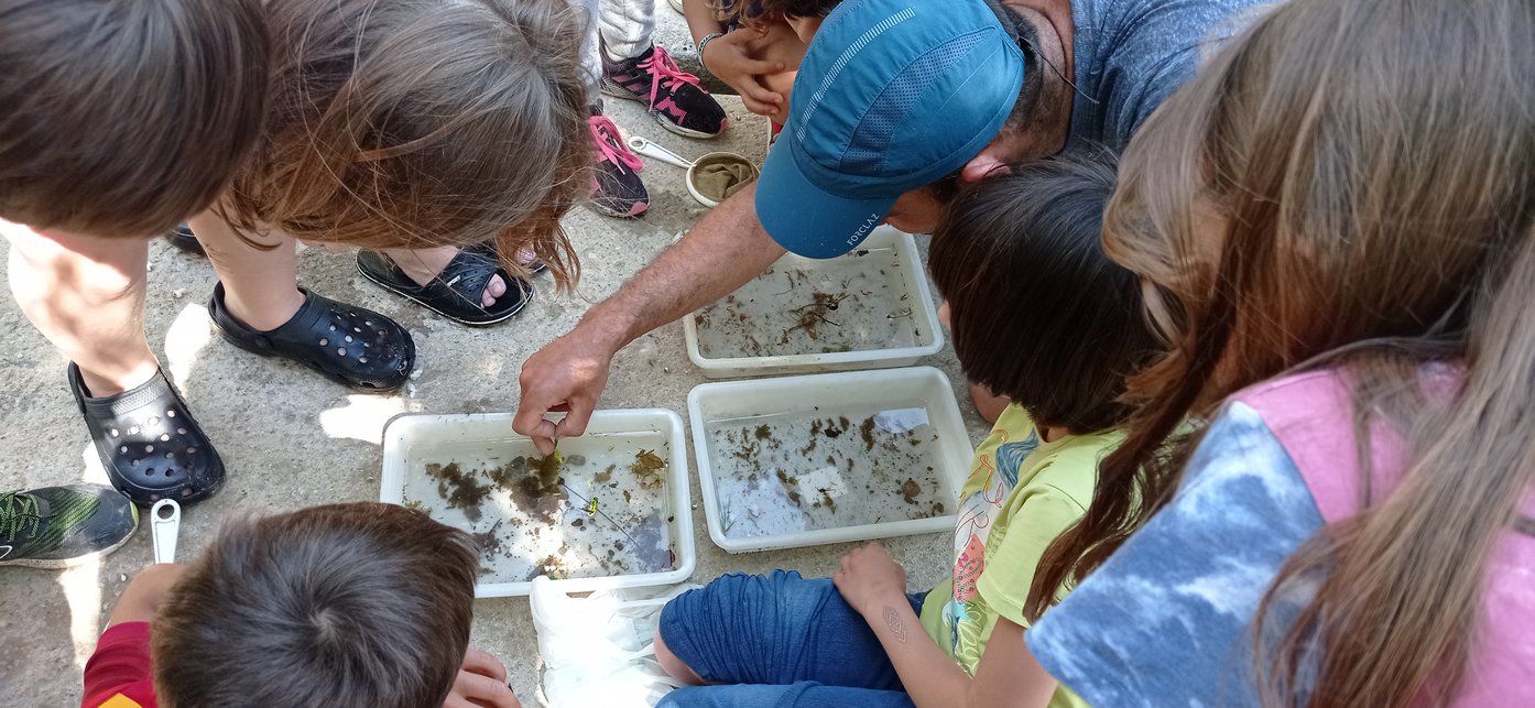 1651754775175_resized