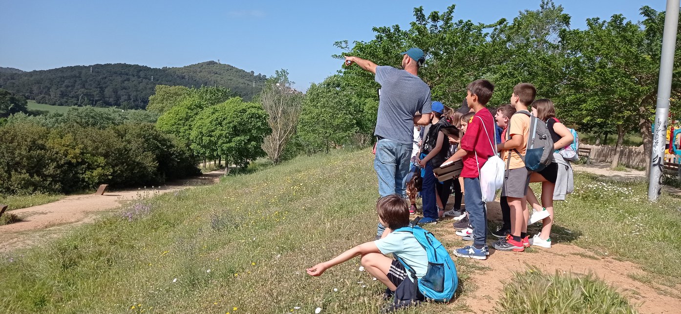 1651779045683_resized