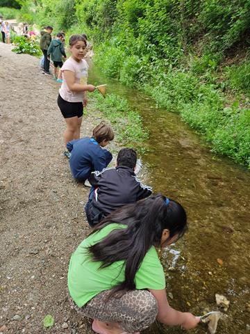 IMG-20220504-WA0006_360x480