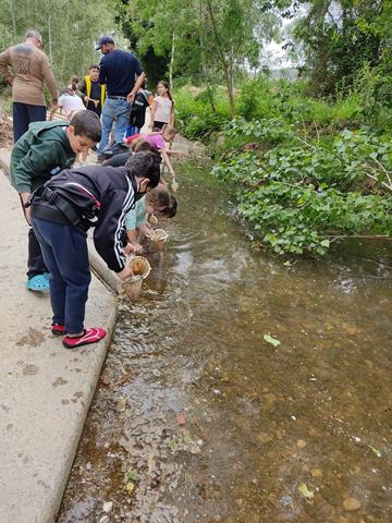 IMG-20220504-WA0027_360x480