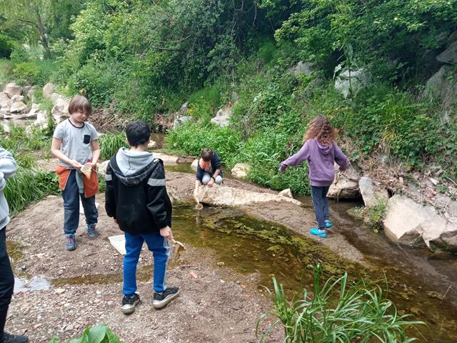 IMG_20220504_112953_640x480