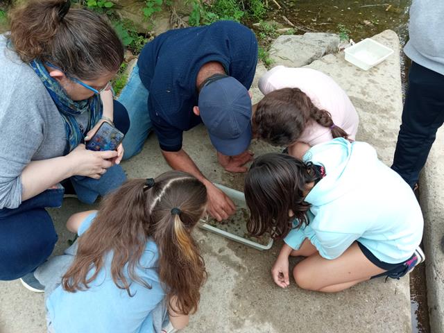 IMG_20220504_114959_640x480