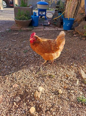 IMG_20230130_095544_359x480