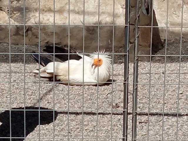 IMG_20230425_113918 (Copy)