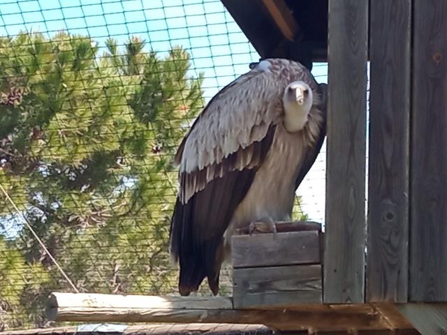 IMG_20230425_114313 (Copy)