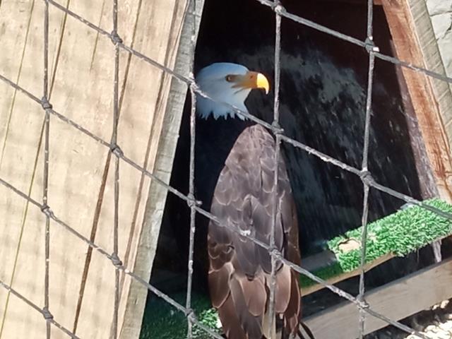 IMG_20230425_114520 (Copy)